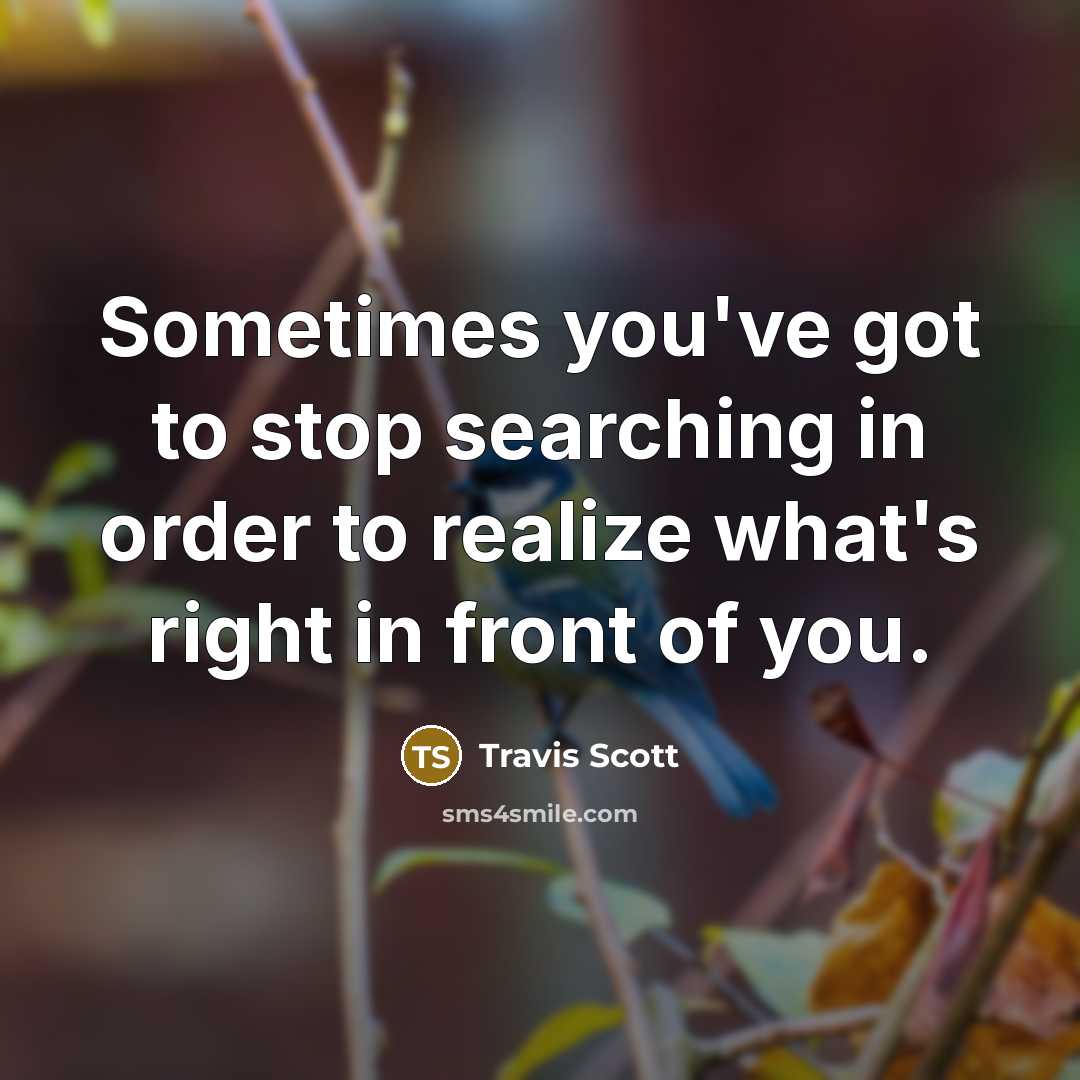 “Sometimes you've got to stop searching in order to realize…” quote by Travis Scott