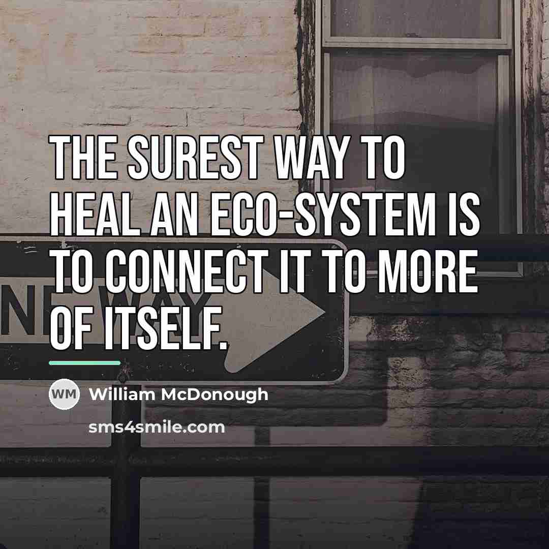 “The surest way to heal an eco-system is to connect…” quote by William McDonough