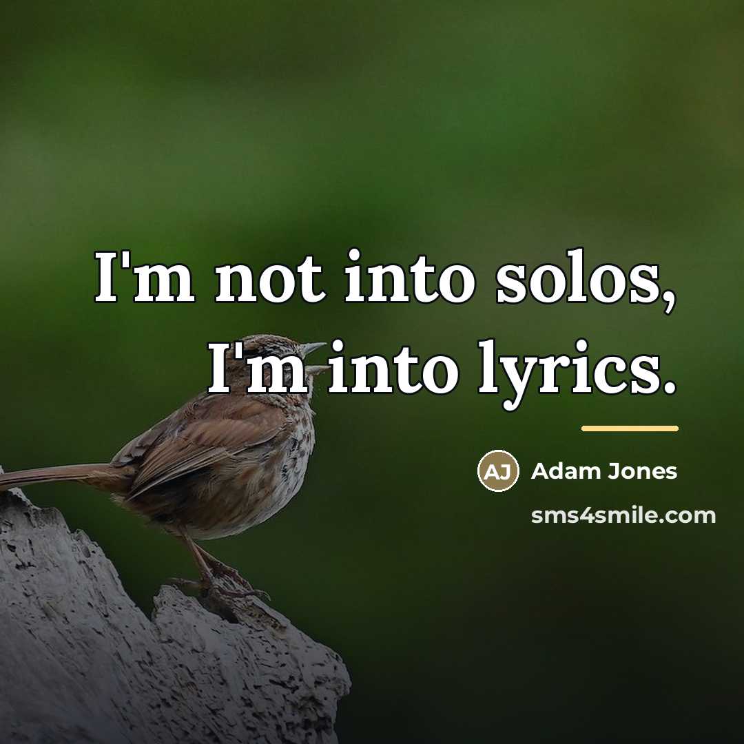 “I'm not into solos, I'm into lyrics.…” quote by Adam Jones
