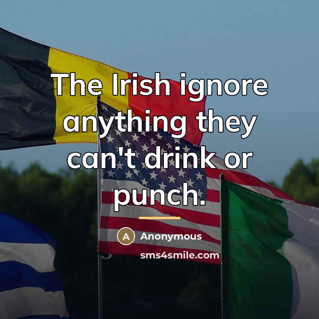 “The Irish ignore anything they can't drink or punch.…” quote by Anonymous