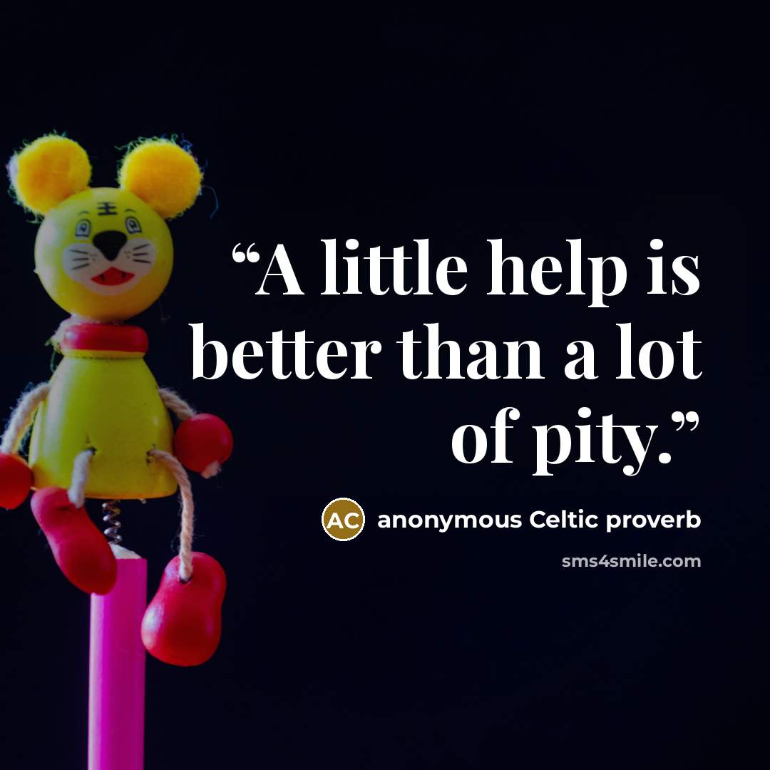 “A little help is better than a lot of pity.” quote by anonymous Celtic proverb