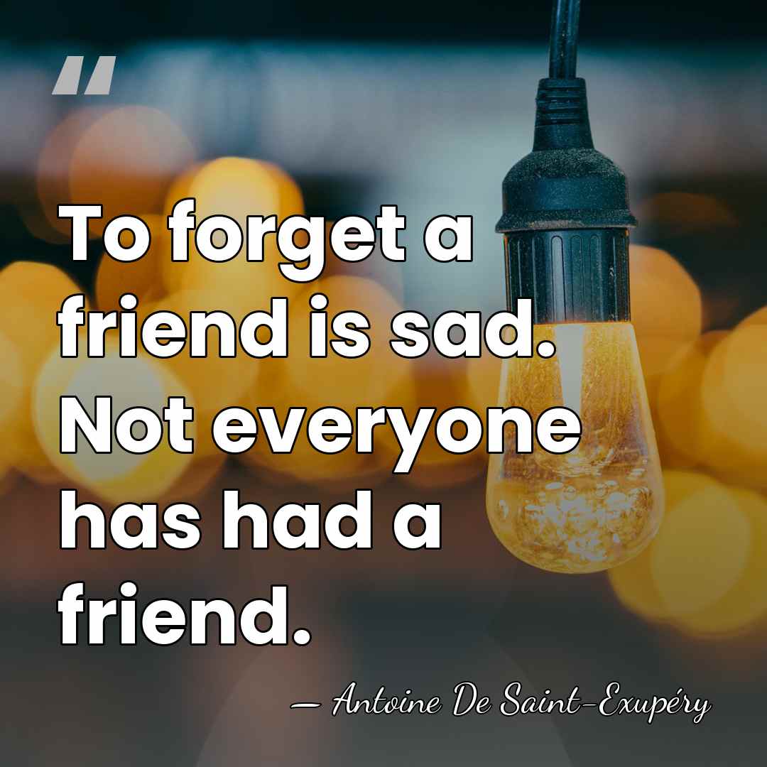 To forget a friend is sad. Not everyone has had a friend. - Antoine De Saint-Exupéry