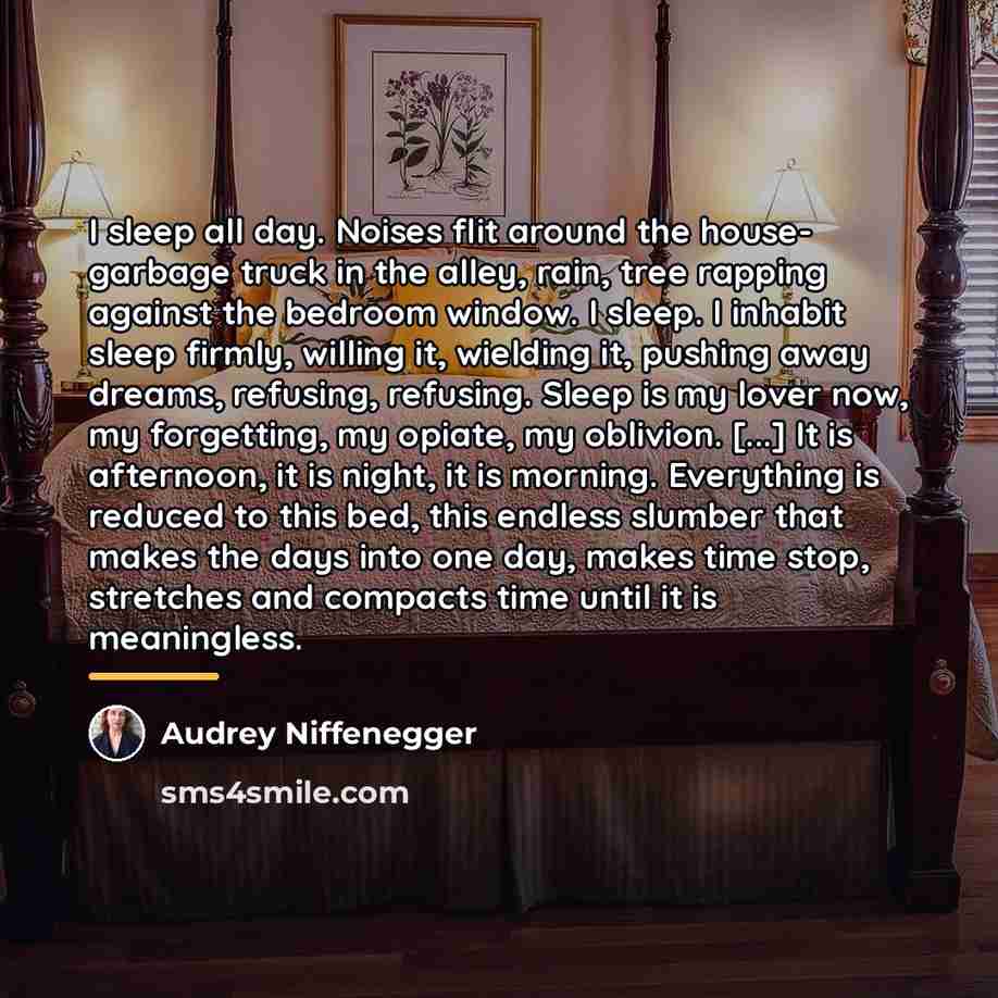 “I sleep all day. Noises flit around the house- garbage…” quote by Audrey Niffenegger