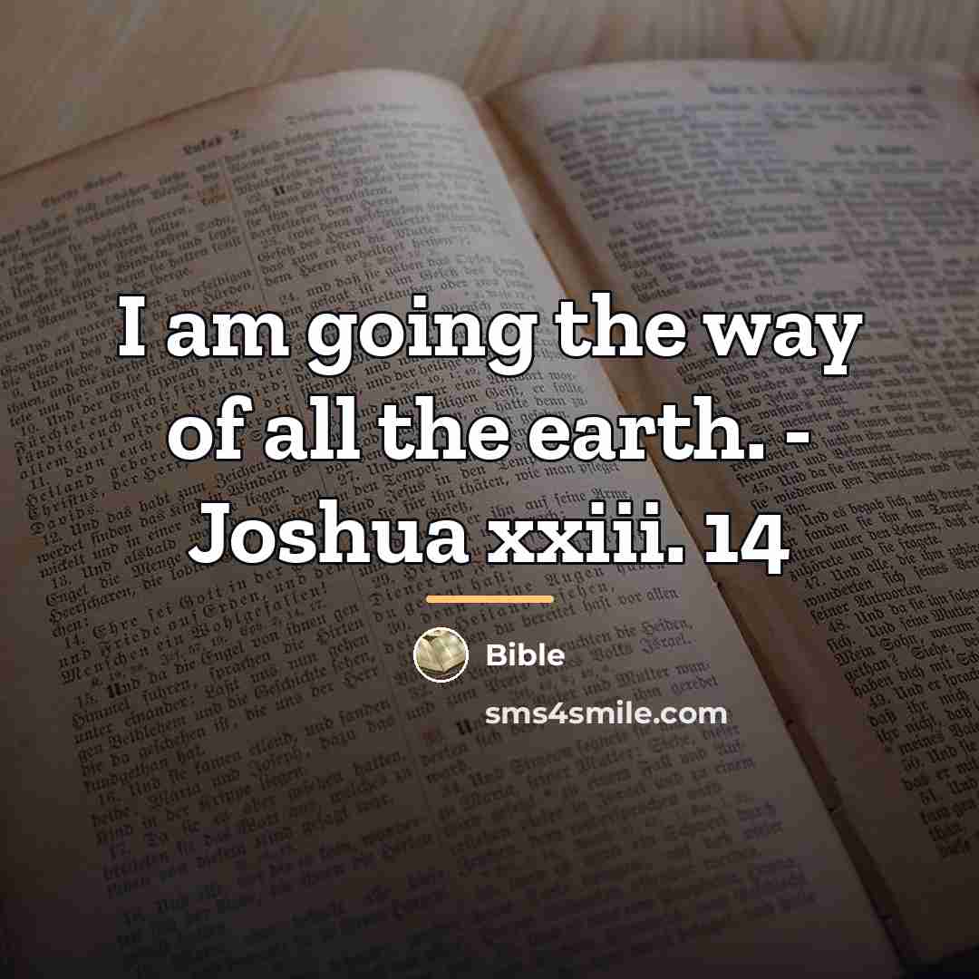 “I am going the way of all the earth. -…” quote by Bible