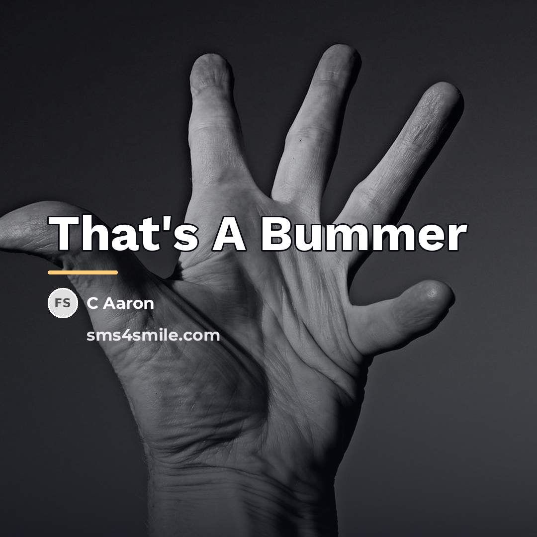 “That's A Bummer…” quote by C Aaron