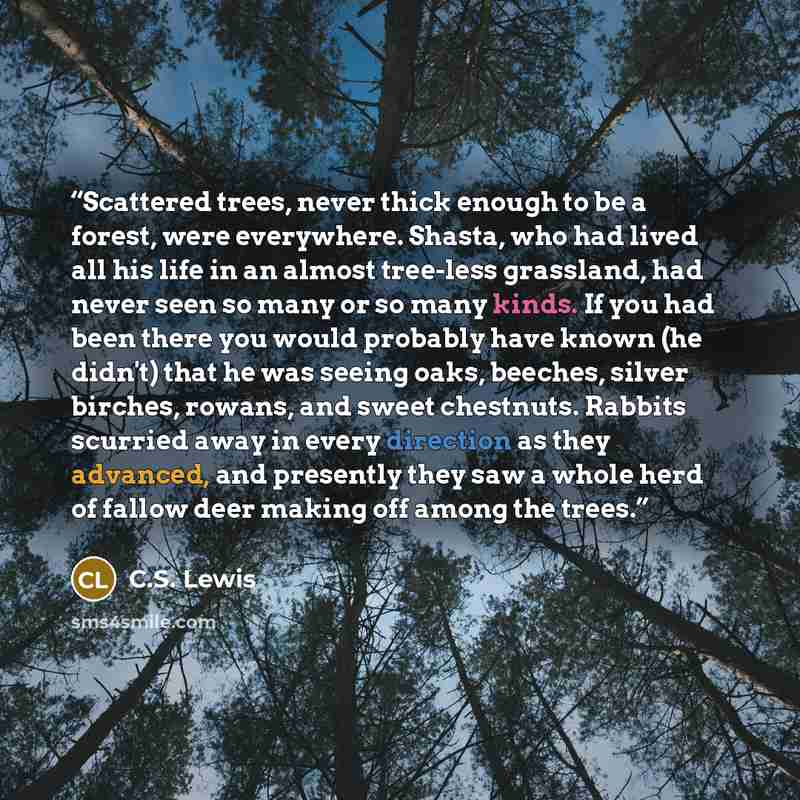 “Scattered trees, never thick enough to be a forest, were everywhere. Shasta, who had lived all his life in an almost tree-less grassland, had never seen so many or so many kinds. If you had been there you would probably have known (he didn't) that he was seeing oaks, beeches, silver birches…” quote by C.S. Lewis