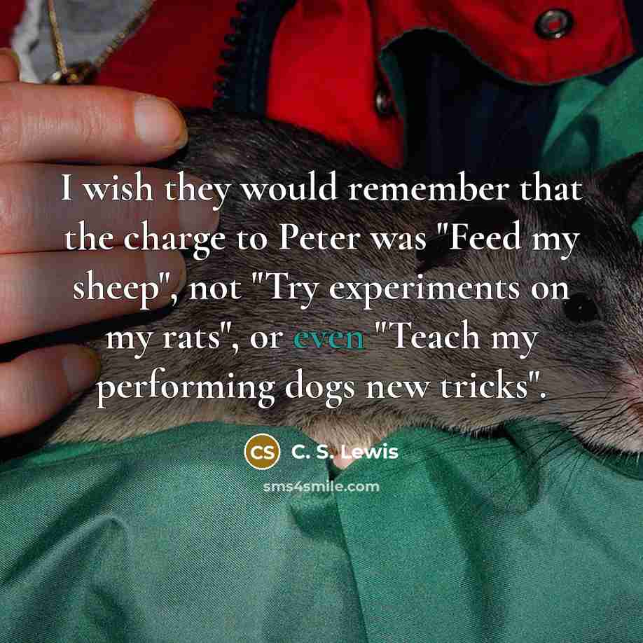“I wish they would remember that the charge to Peter…” quote by C. S. Lewis