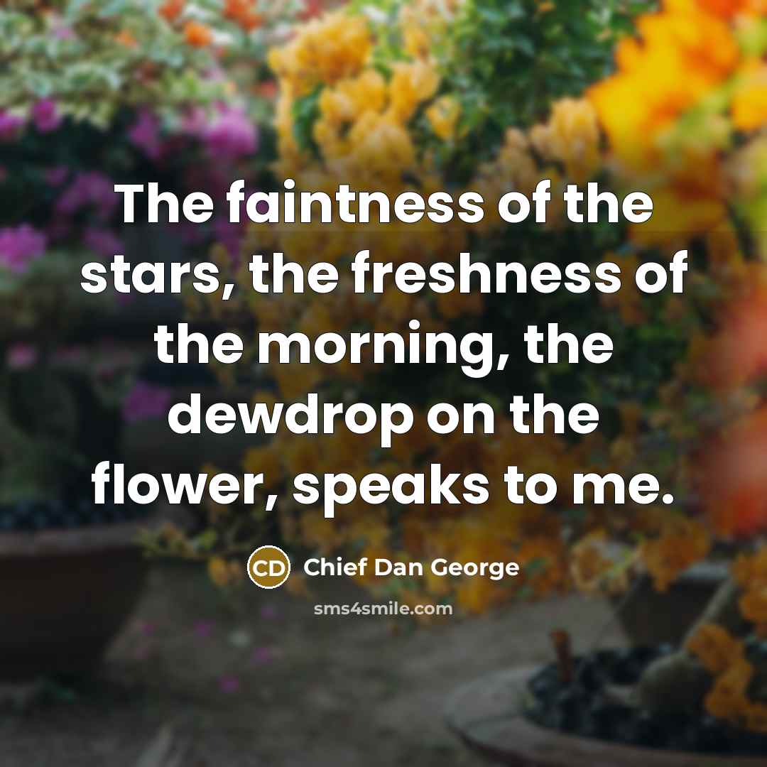 “The faintness of the stars, the freshness of the morning,…” quote by Chief Dan George