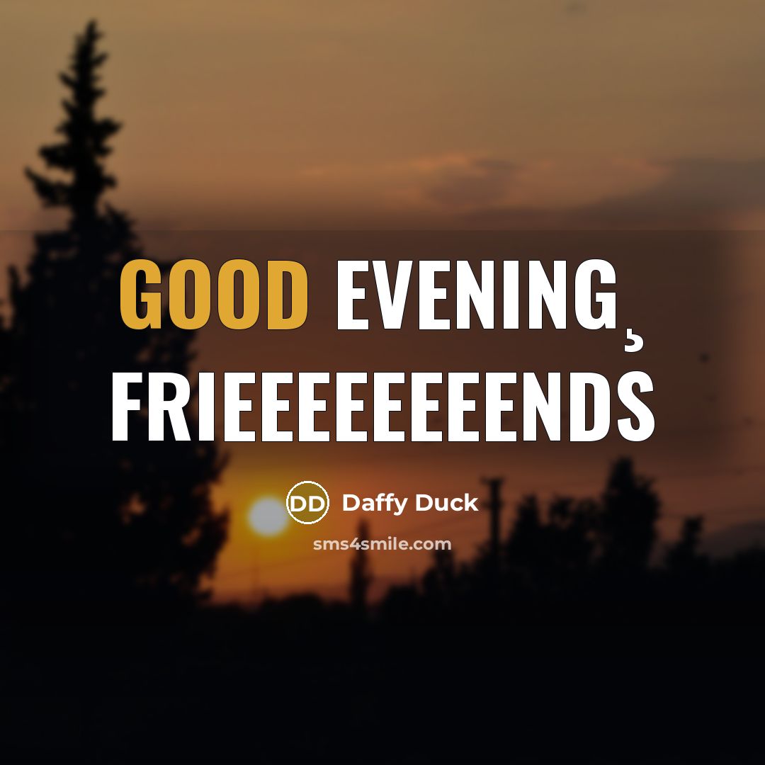 “Good evening¸ frieeeeeeeends…” quote by Daffy Duck