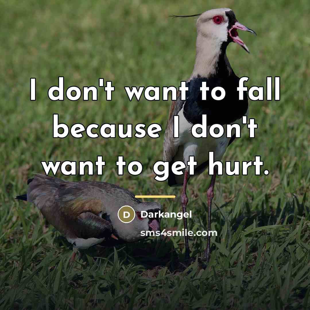 “I don't want to fall because I don't want to…” quote by Darkangel