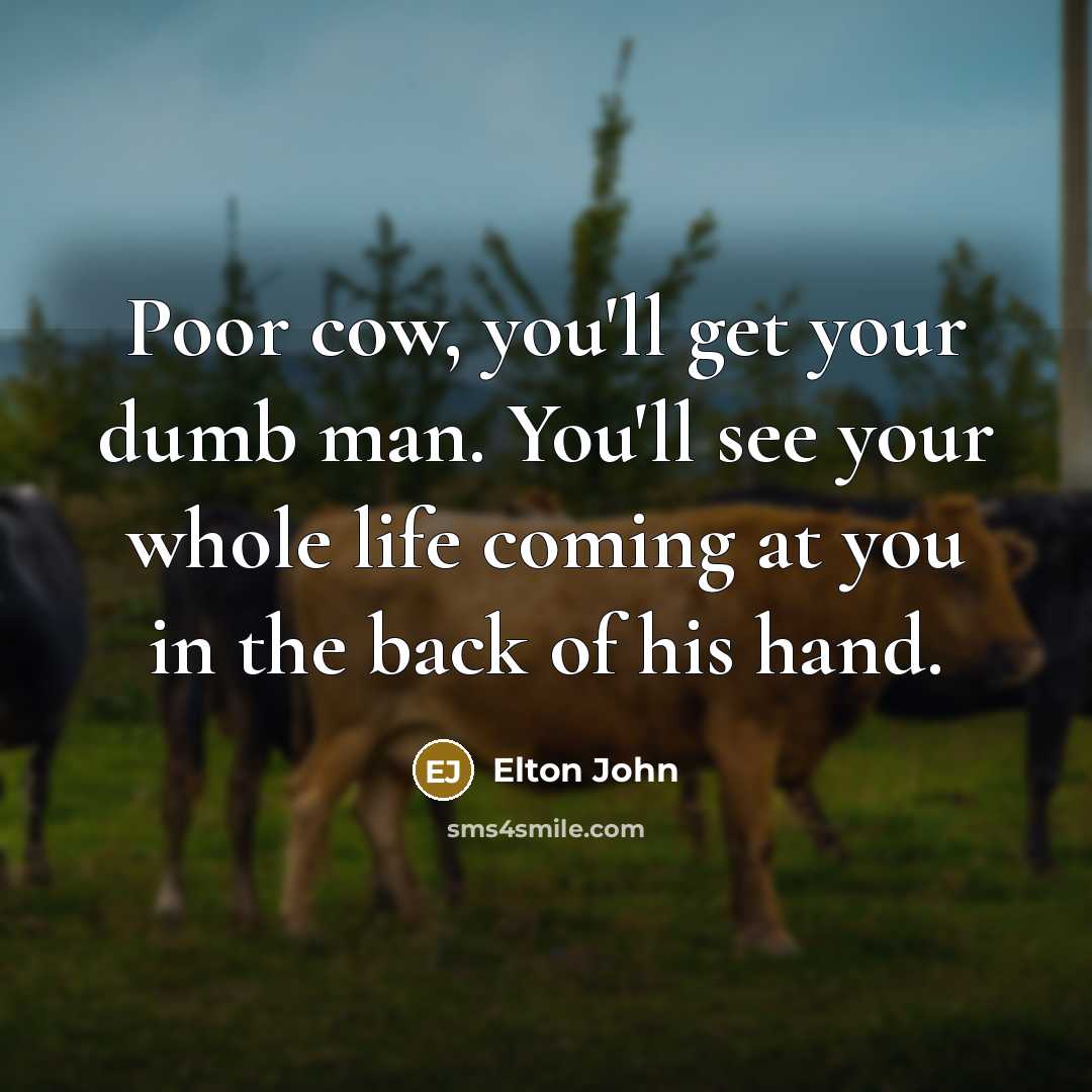 “Poor cow, you'll get your dumb man. You'll see your…” quote by Elton John