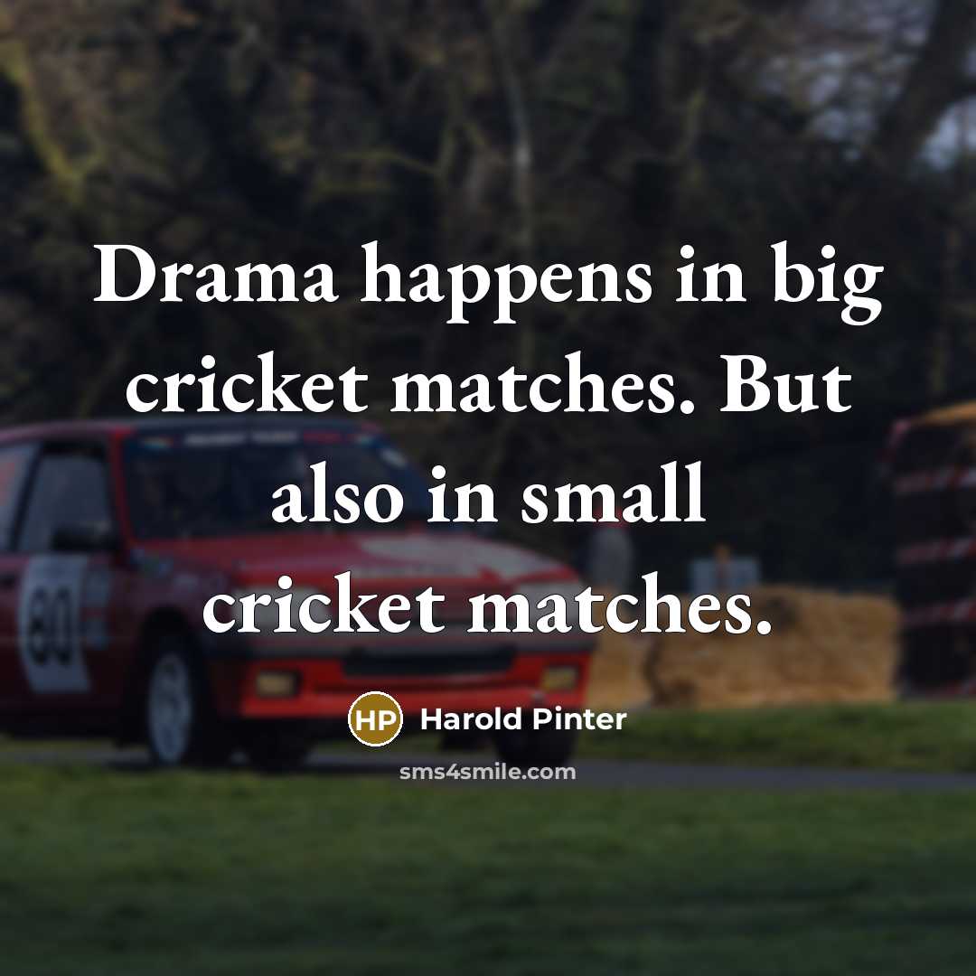 “Drama happens in big cricket matches. But also in small…” quote by Harold Pinter