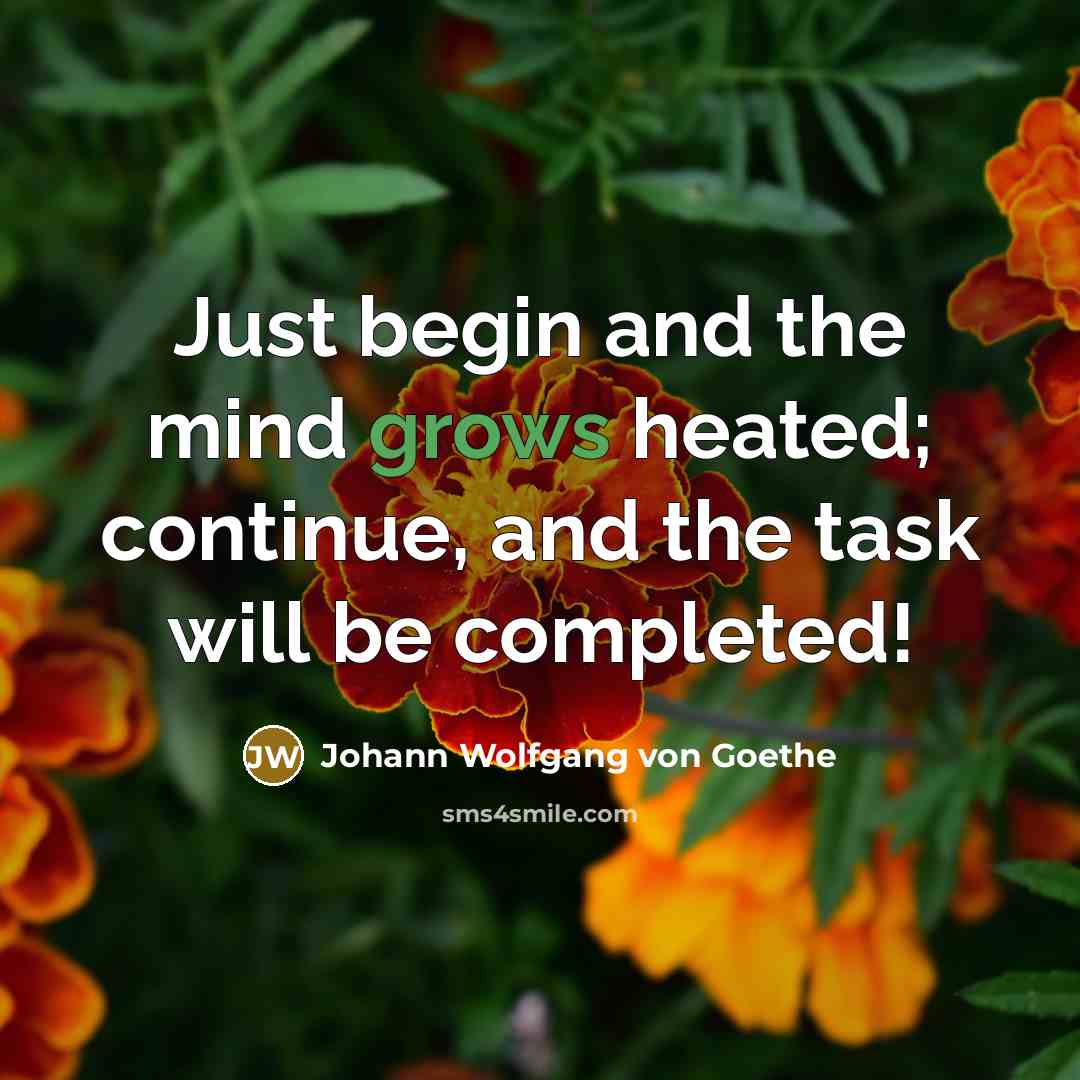 “Just begin and the mind grows heated; continue, and the task will be completed!” quote by Johann Wolfgang von Goethe