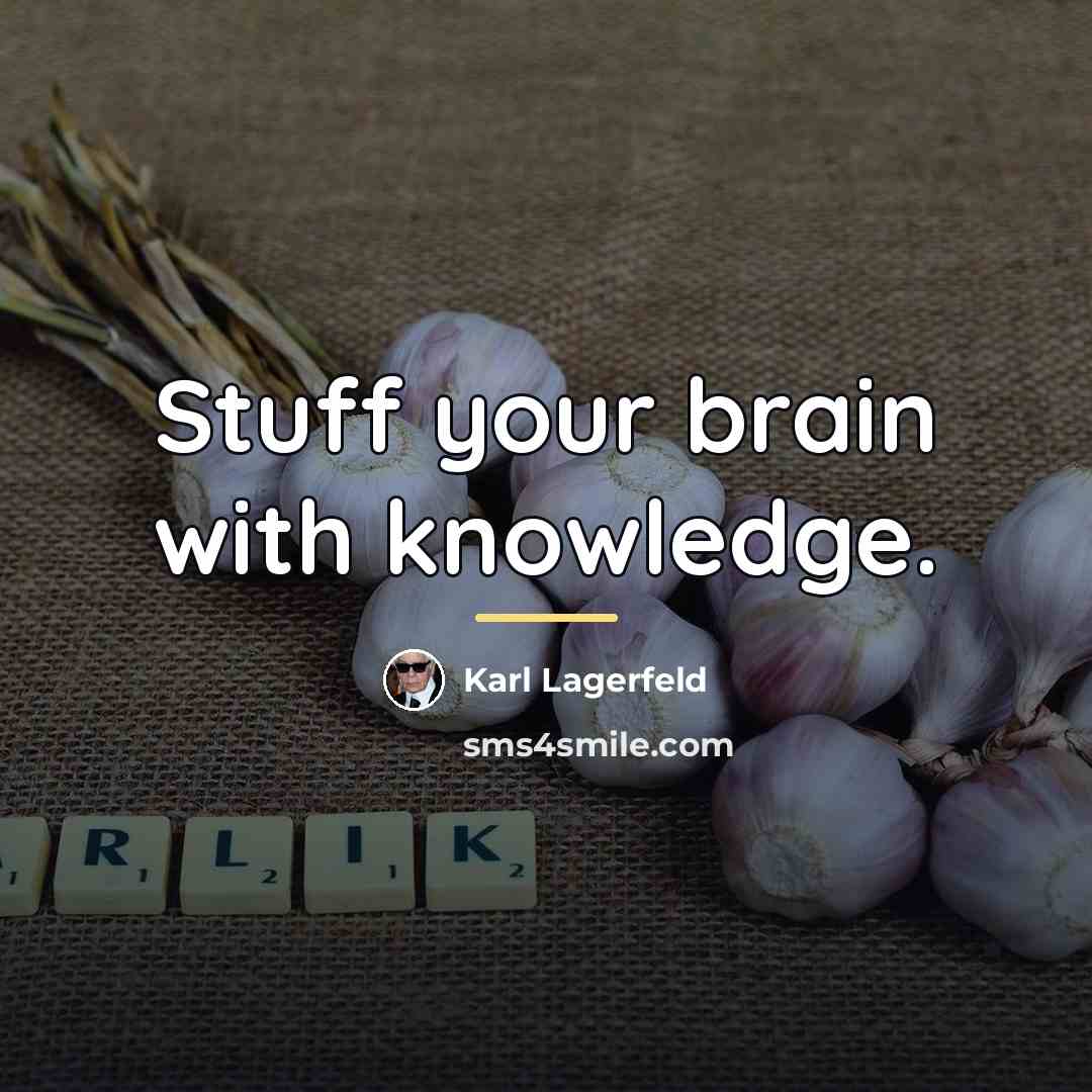 “Stuff your brain with knowledge.…” quote by Karl Lagerfeld