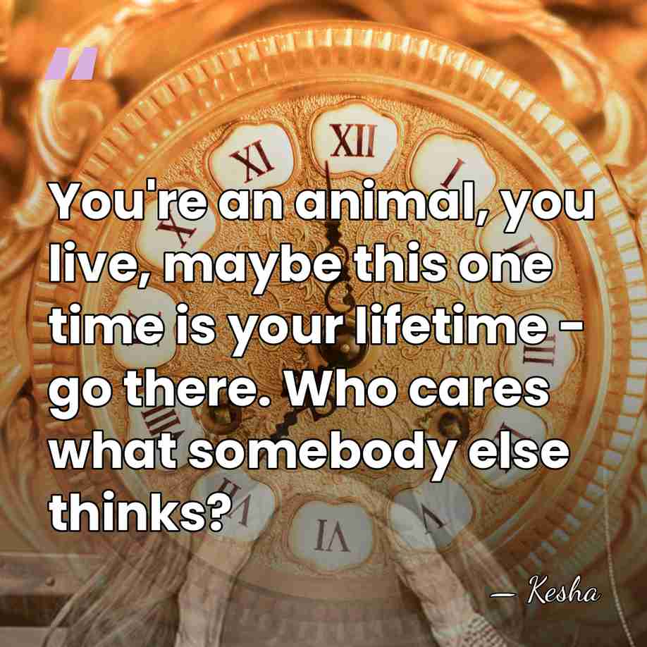 You're an animal, you live, maybe this one time is your lifetime&hellip; - Kesha