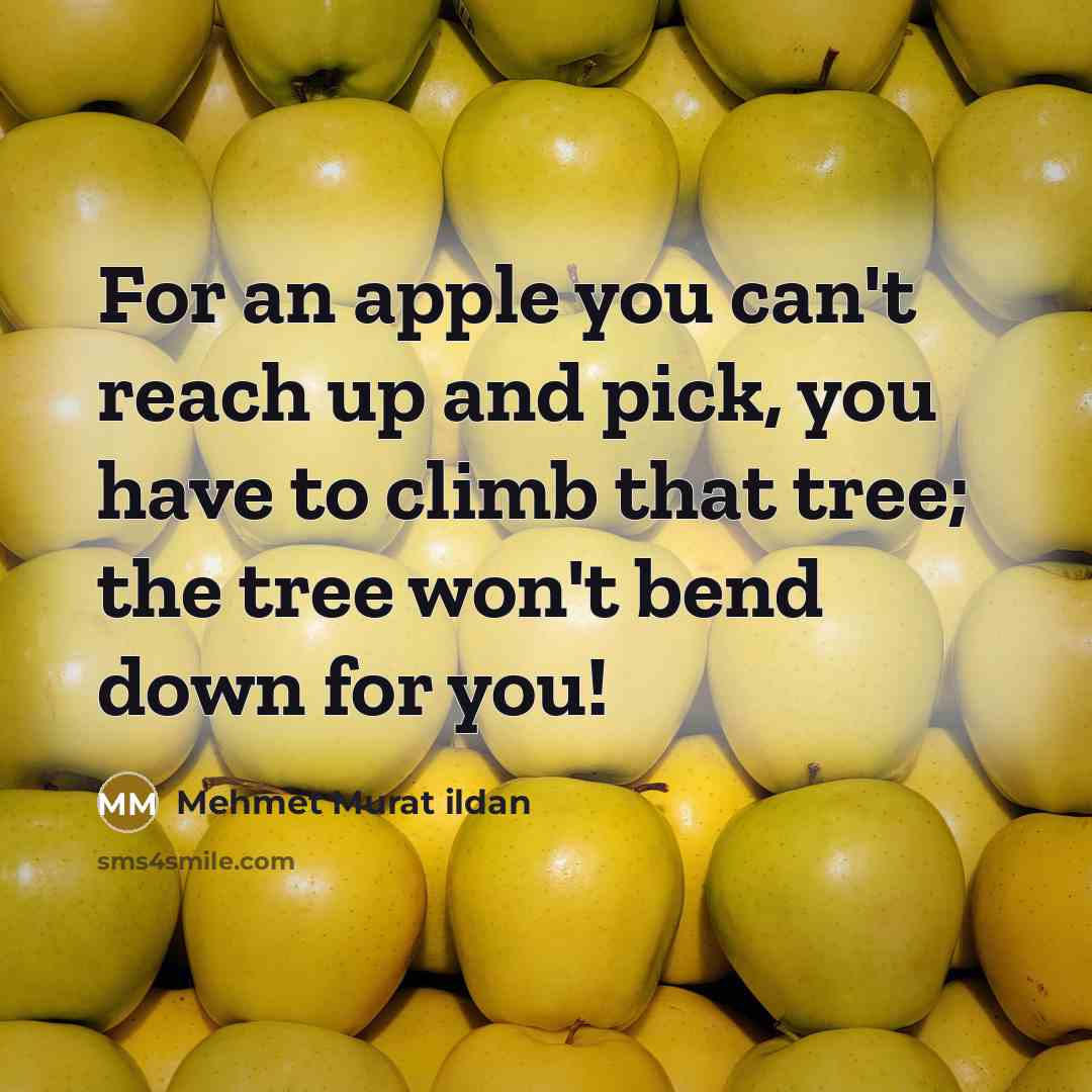 “For an apple you can't reach up and pick, you…” quote by Mehmet Murat Ildan