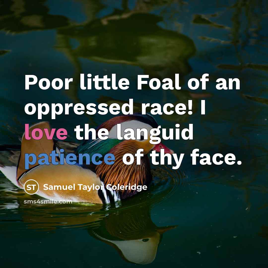 “Poor little Foal of an oppressed race! I love the…” quote by Samuel Taylor Coleridge