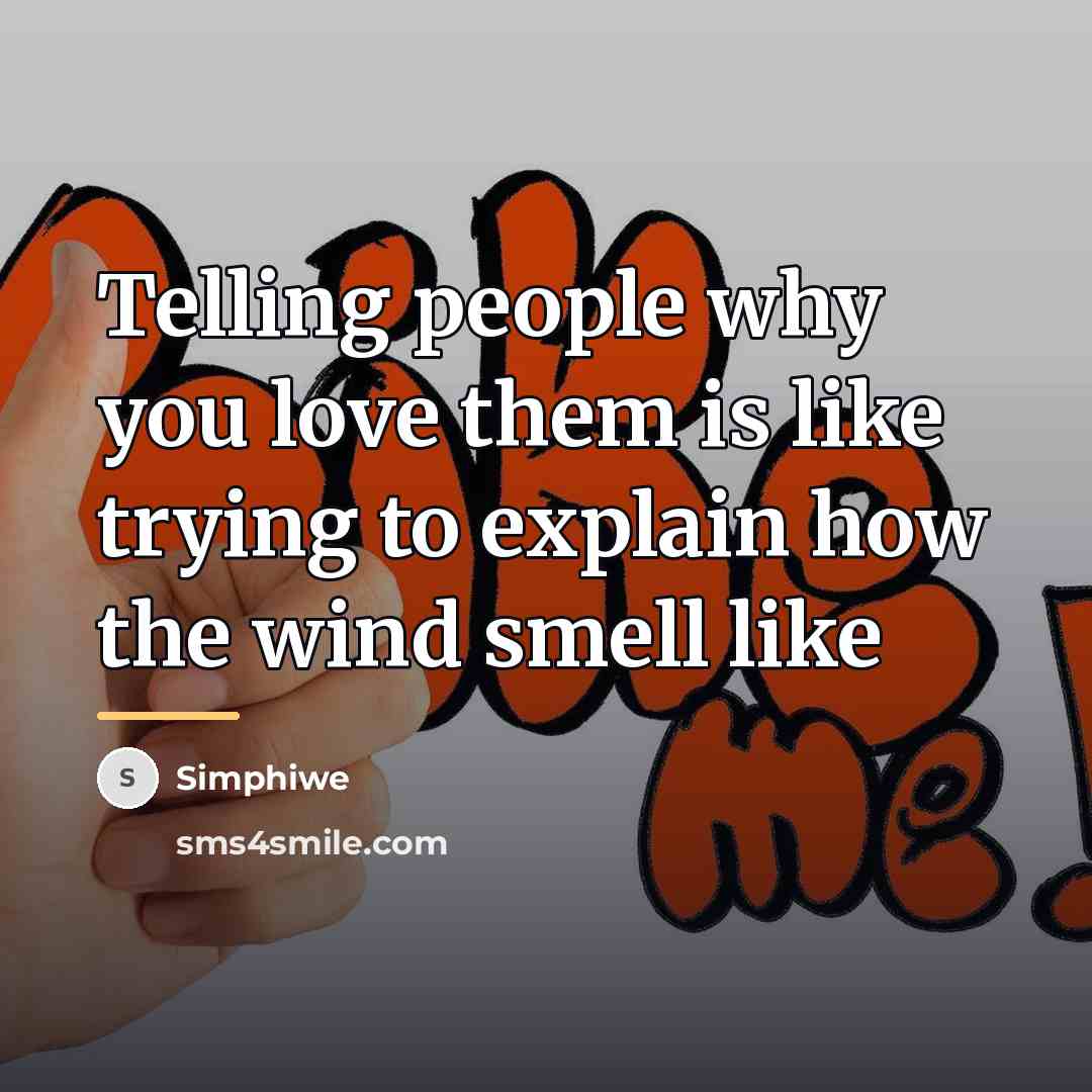 “Telling people why you love them is like trying to…” quote by Simphiwe