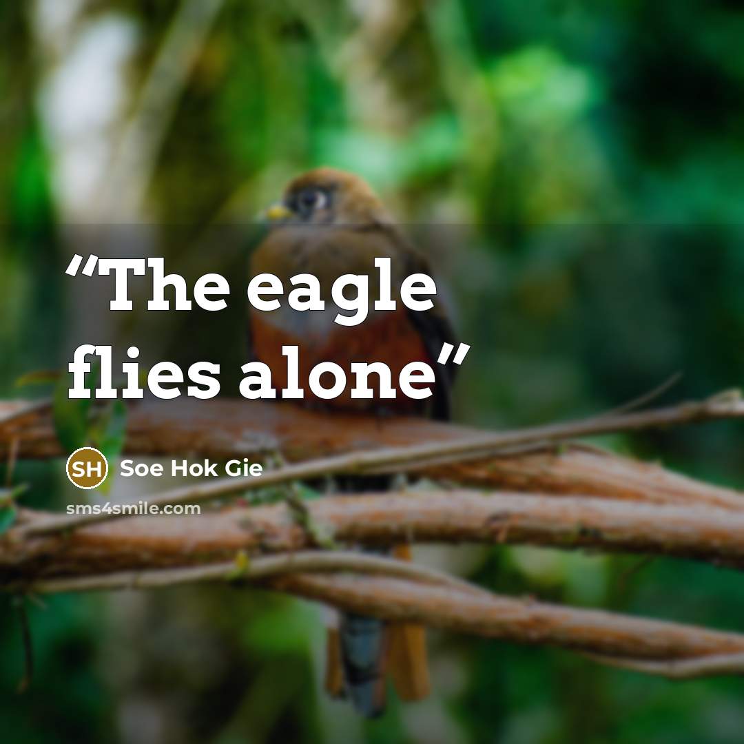 “The eagle flies alone” quote by Soe Hok Gie