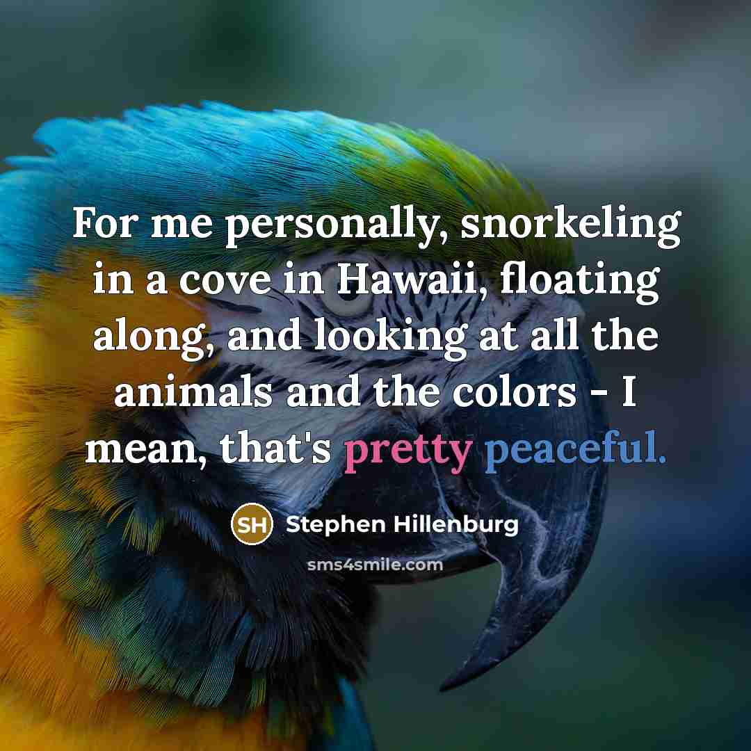 “For me personally, snorkeling in a cove in Hawaii, floating…” quote by Stephen Hillenburg
