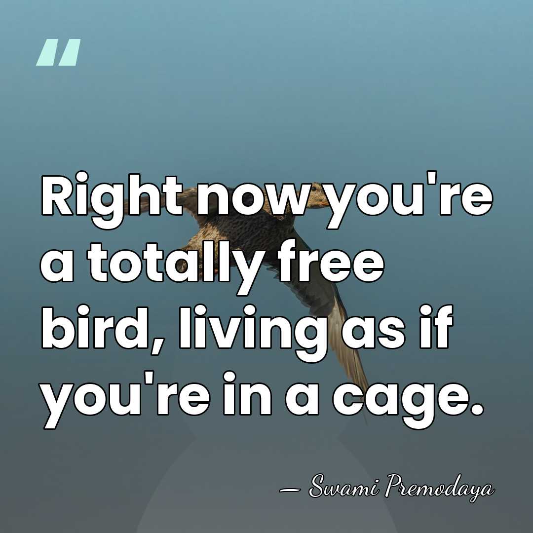 Right now you're a totally free bird, living as if you're in&hellip; - Swami Premodaya