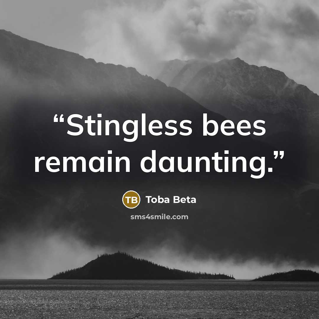 “Stingless bees remain daunting.” quote by Toba Beta