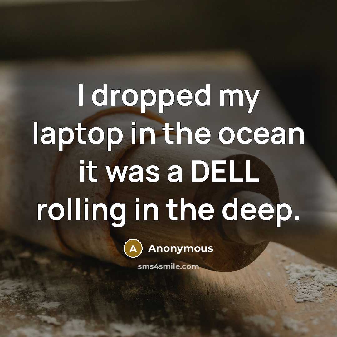 “I dropped my laptop in the ocean it was a DELL rolling in the deep.” quote by Anonymous