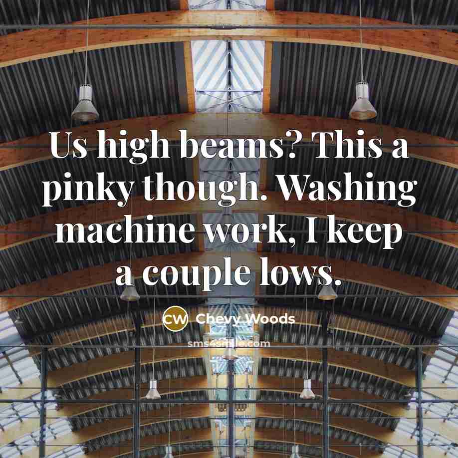 “Us high beams? This a pinky though. Washing machine work,…” quote by Chevy Woods