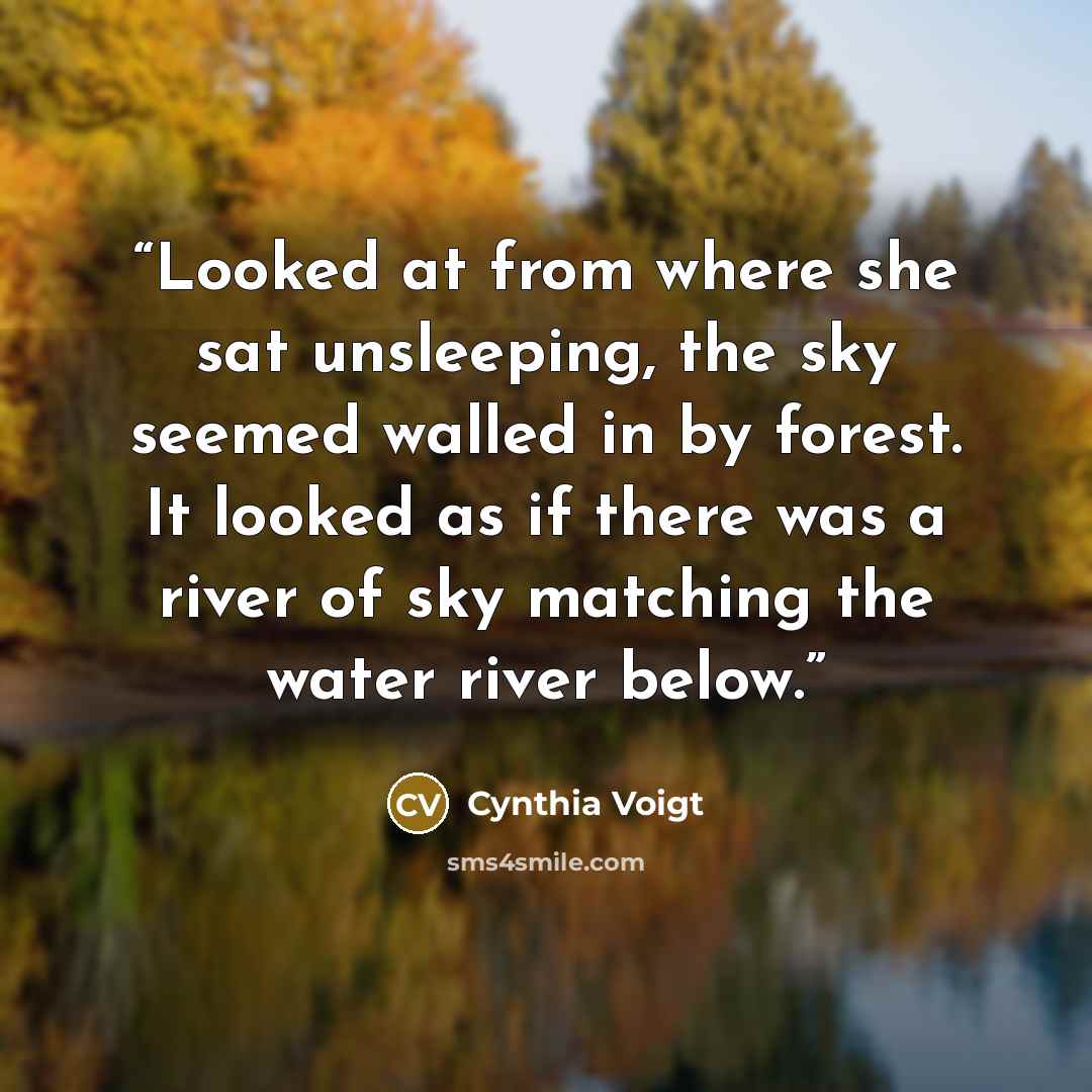 “Looked at from where she sat unsleeping, the sky seemed walled in by forest. It looked as if there was a river of sky matching the water river below.” quote by Cynthia Voigt
