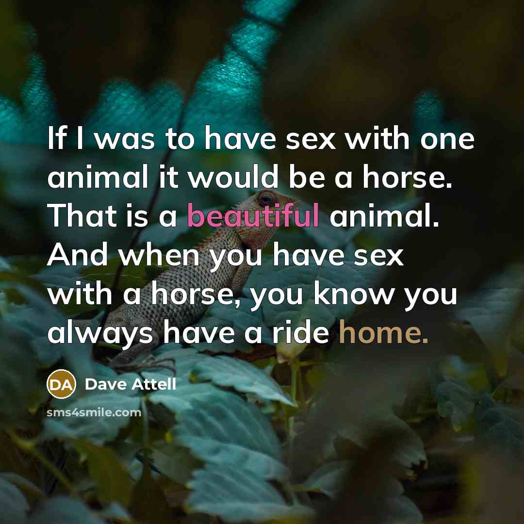 “If I was to have sex with one animal it…” quote by Dave Attell