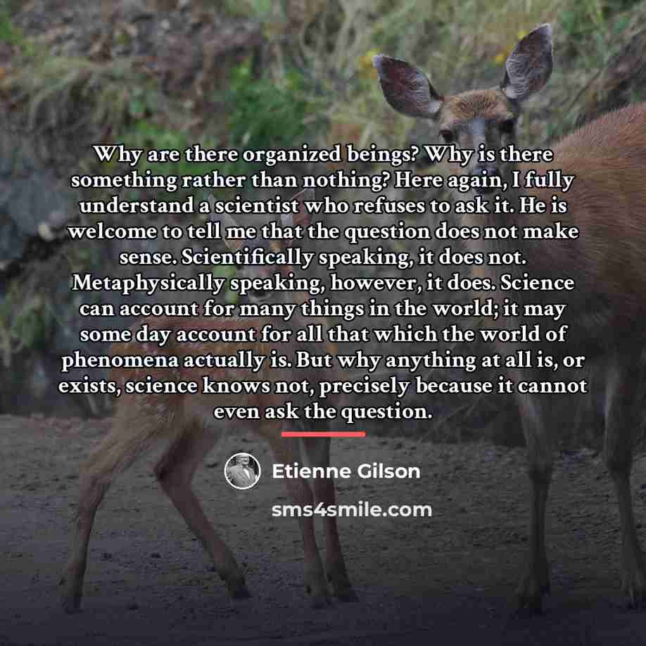 “Why are there organized beings? Why is there something rather…” quote by Etienne Gilson