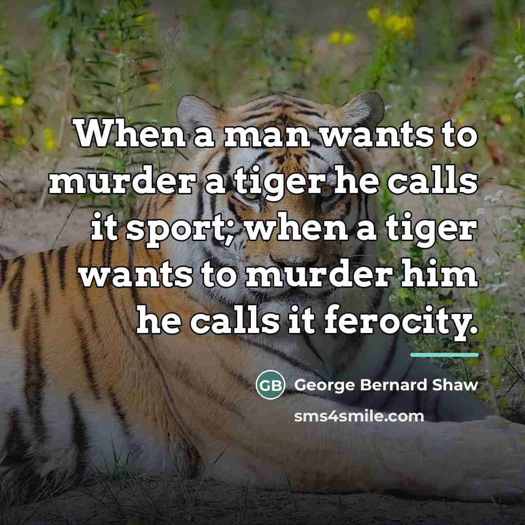 “When a man wants to murder a tiger he calls…” quote by George Bernard Shaw