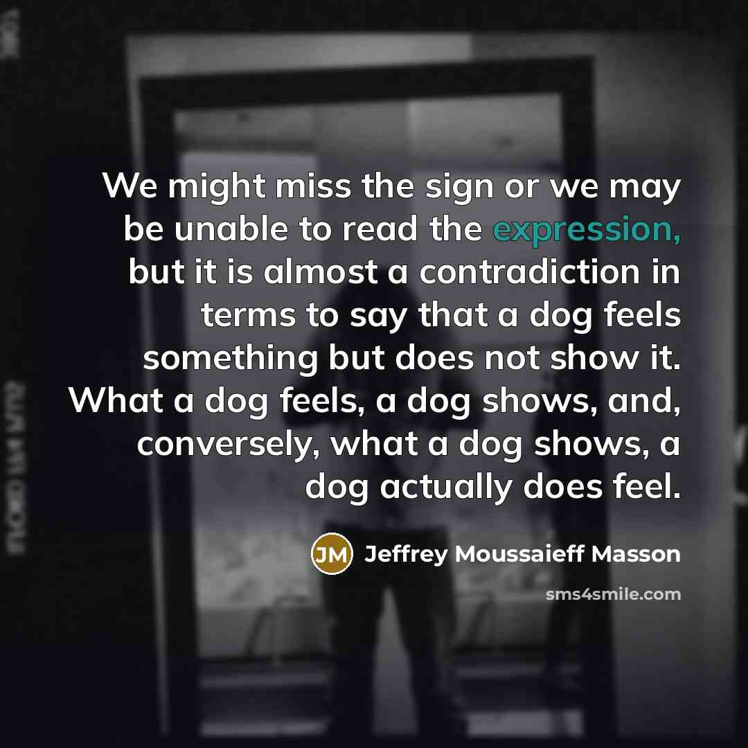“We might miss the sign or we may be unable to read the expression, but it is almost a contradiction in terms to say that a dog feels something but does not show it. What a dog feels, a dog shows, and, conversely, what a dog shows, a dog actually does feel.” quote by Jeffrey Moussaieff Masson