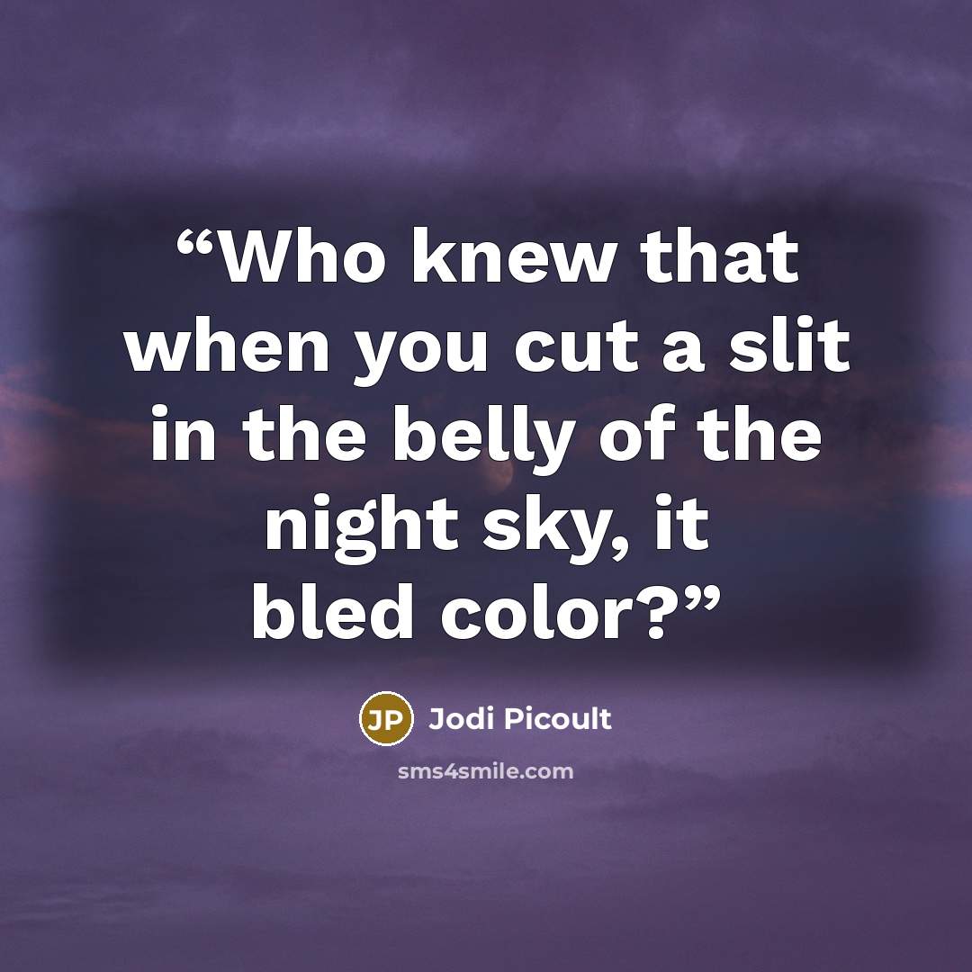 “Who knew that when you cut a slit in the belly of the night sky, it bled color?” quote by Jodi Picoult