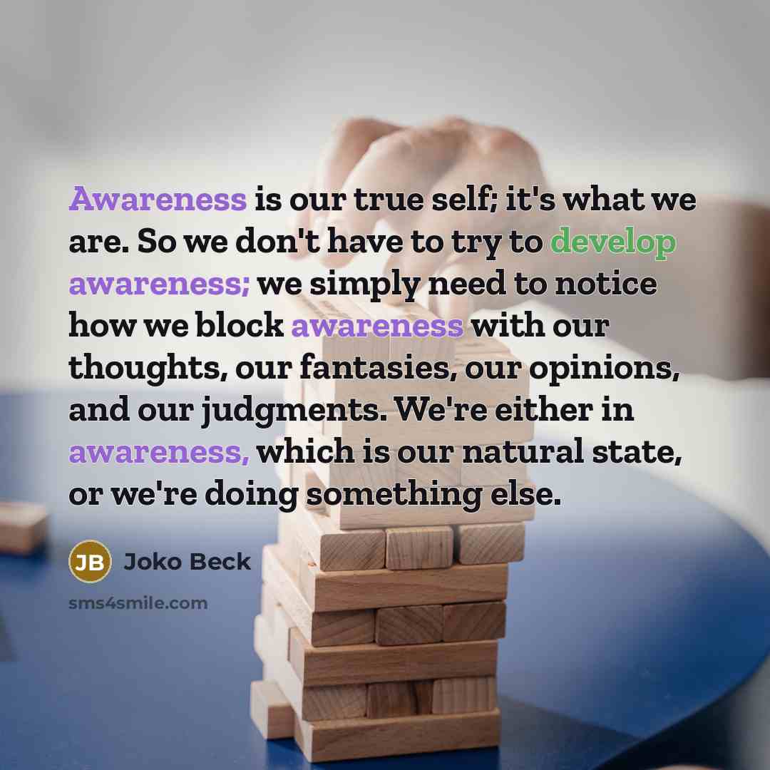 “Awareness is our true self; it's what we are. So…” quote by Joko Beck
