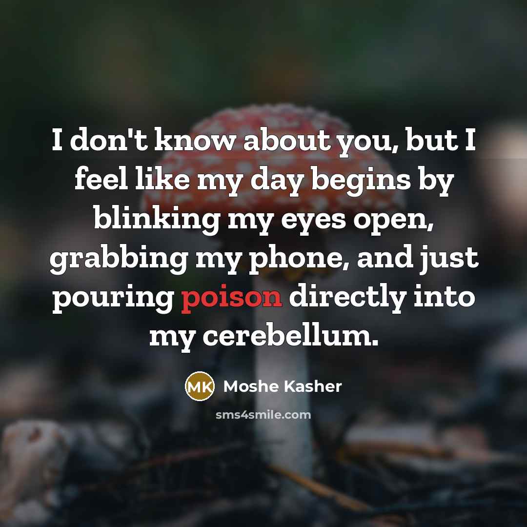 “I don't know about you, but I feel like my…” quote by Moshe Kasher