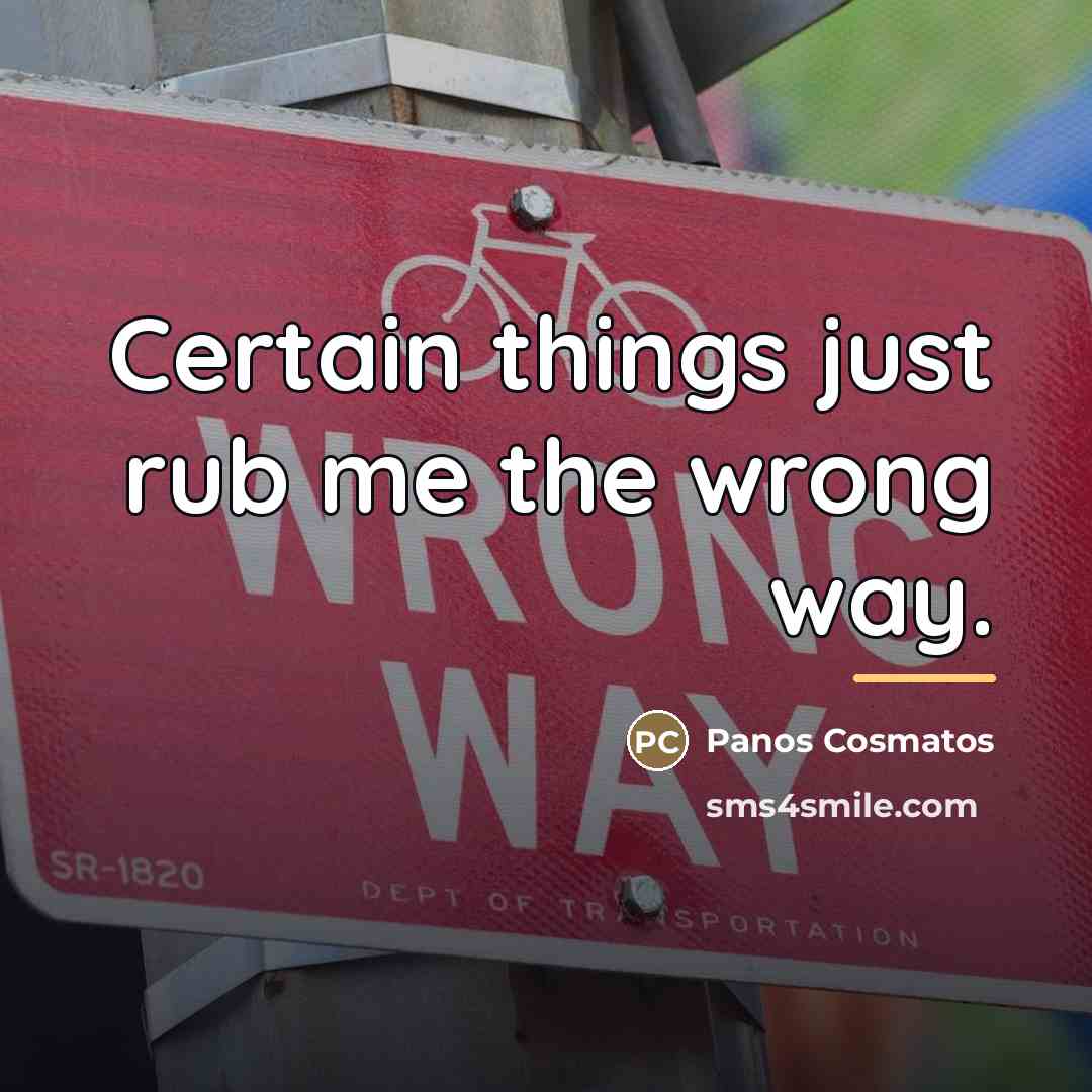 “Certain things just rub me the wrong way.…” quote by Panos Cosmatos