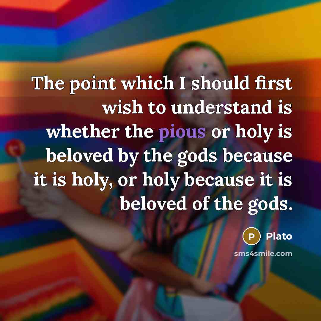 “The point which I should first wish to understand is…” quote by Plato
