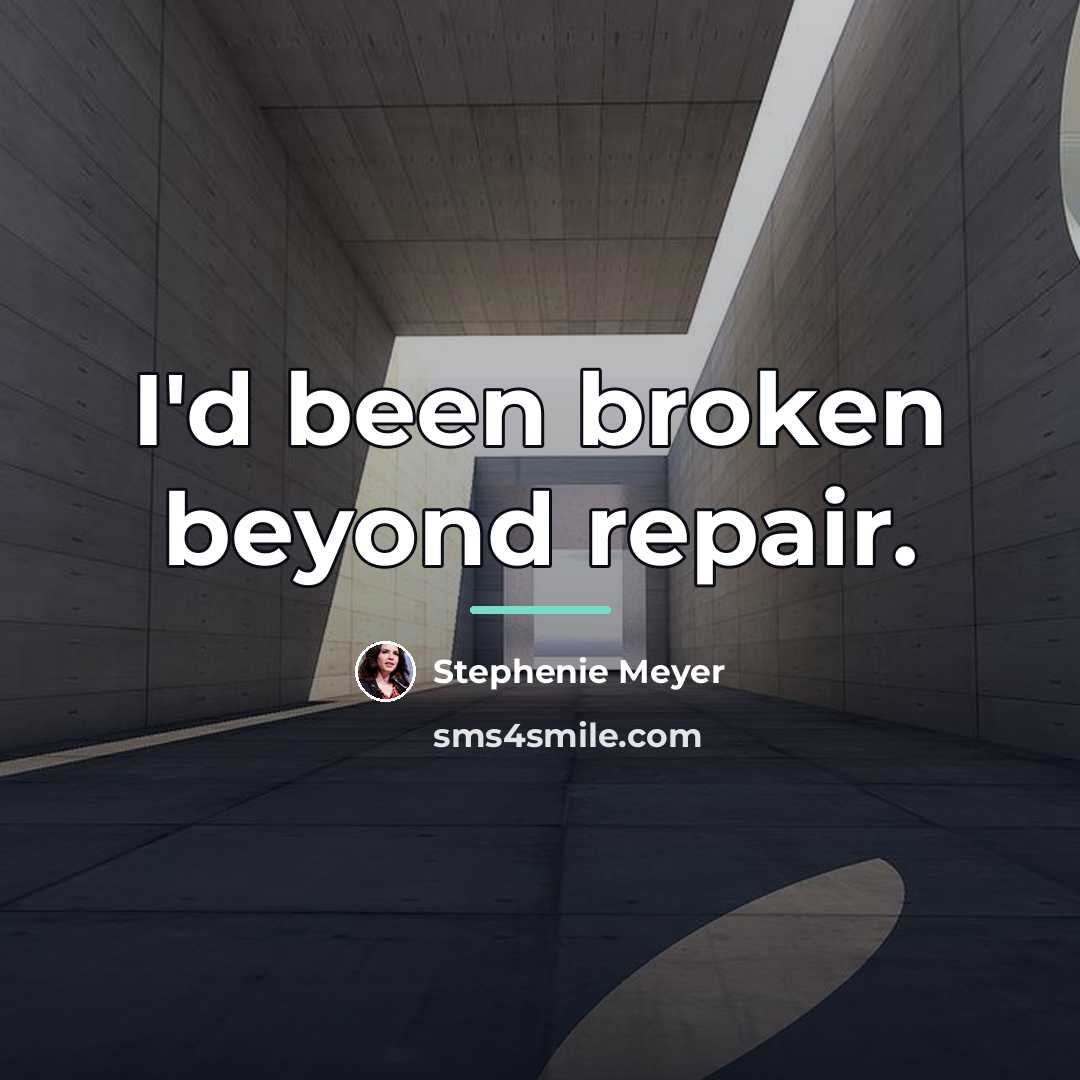 “I'd been broken beyond repair.…” quote by Stephenie Meyer
