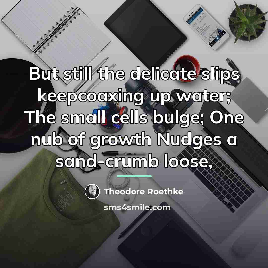 “But still the delicate slips keepcoaxing up water; The small…” quote by Theodore Roethke