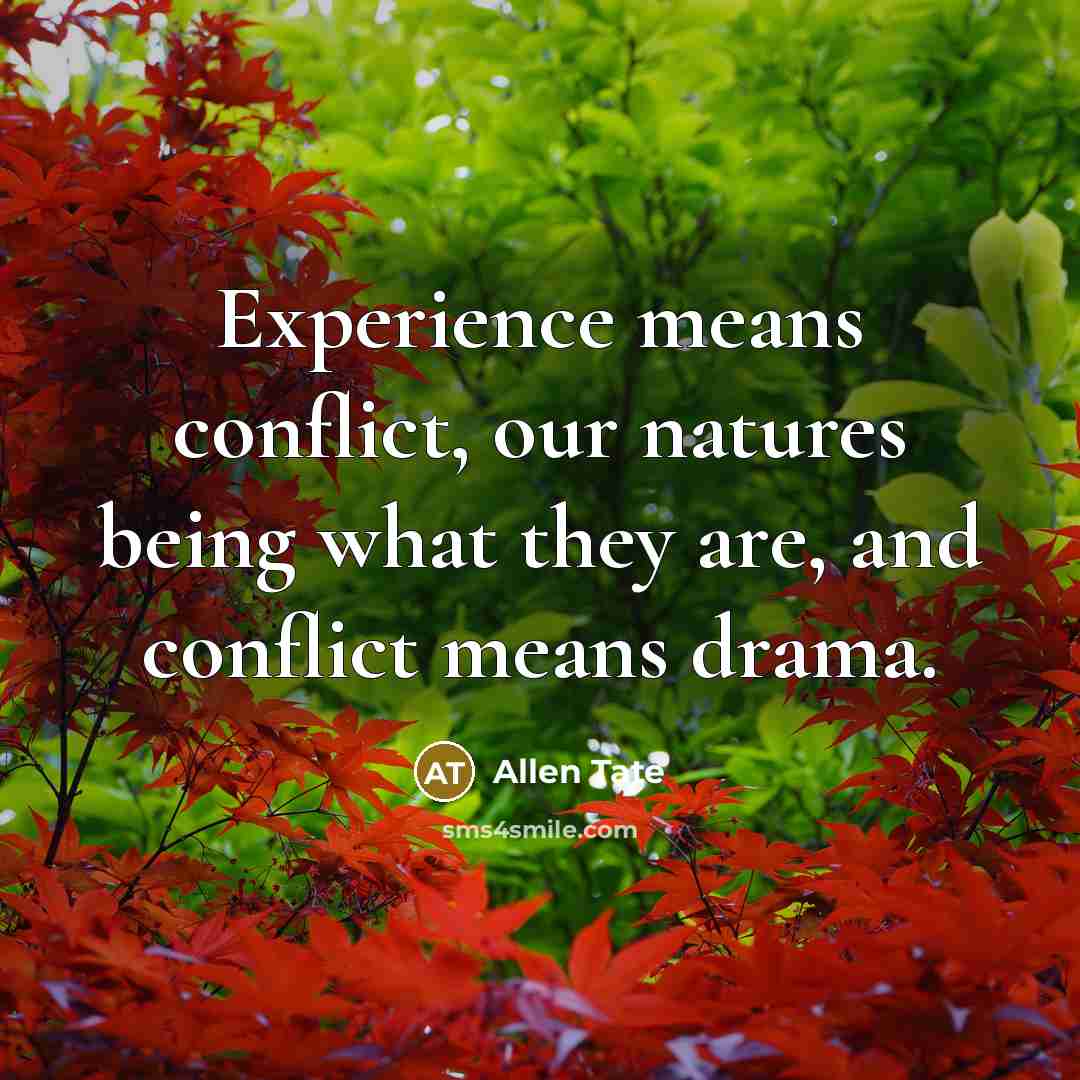 “Experience means conflict, our natures being what they are, and…” quote by Allen Tate