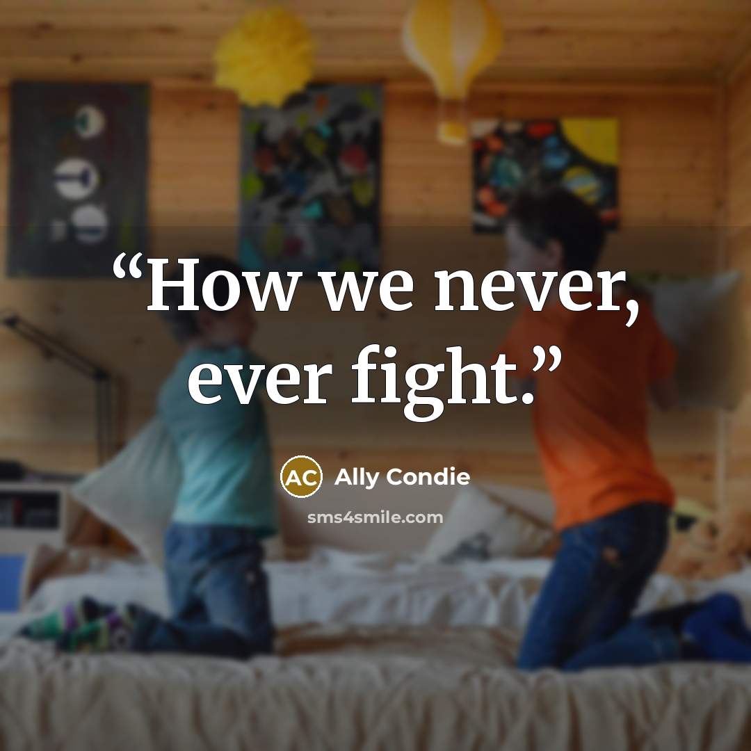 “How we never, ever fight.” quote by Ally Condie