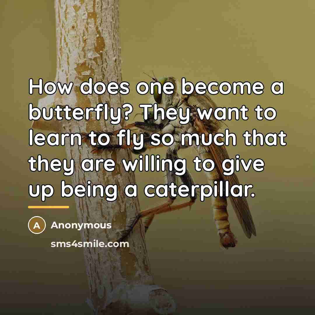“How does one become a butterfly? They want to learn…” quote by Anonymous
