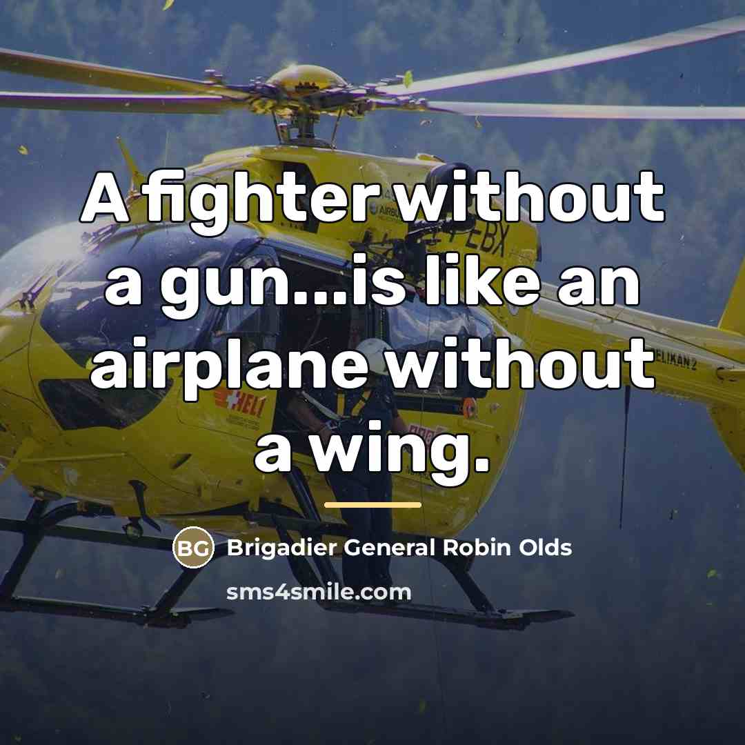 “A fighter without a gun...is like an airplane without a…” quote by Brigadier General Robin Olds