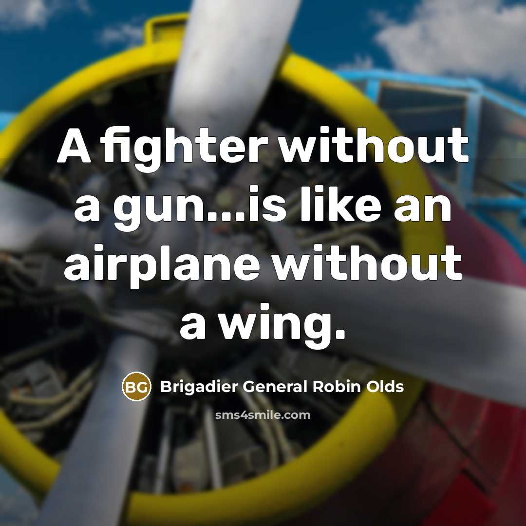 “A fighter without a gun...is like an airplane without a wing.” quote by Brigadier General Robin Olds