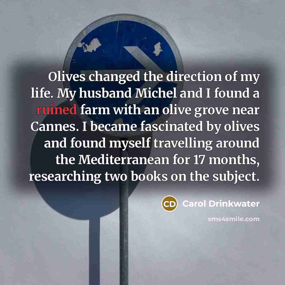 “Olives changed the direction of my life. My husband Michel…” quote by Carol Drinkwater