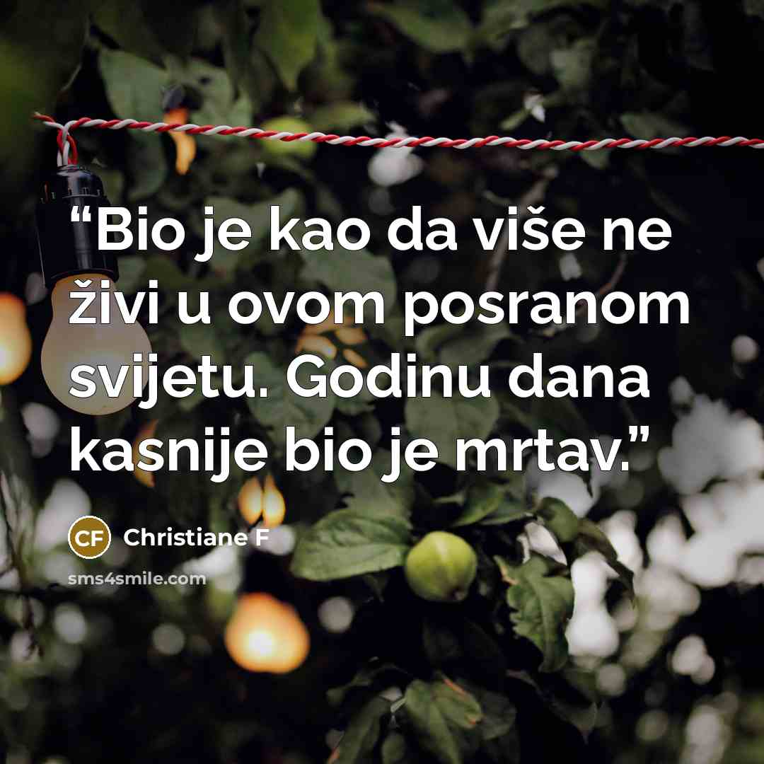 “Bio je kao da više ne živi u ovom posranom svijetu. Godinu dana kasnije bio je mrtav.” quote by Christiane F