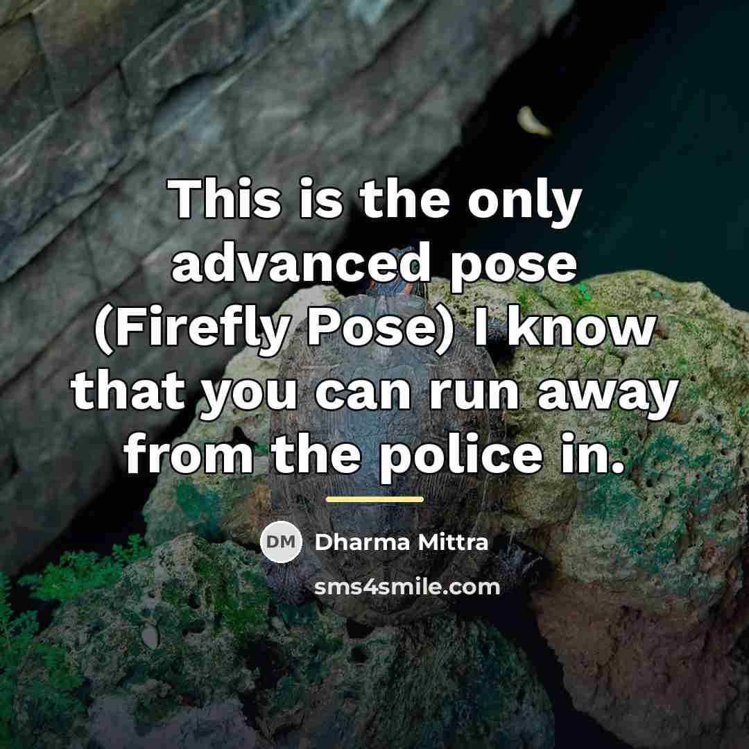 “This is the only advanced pose (Firefly Pose) I know…” quote by Dharma Mittra
