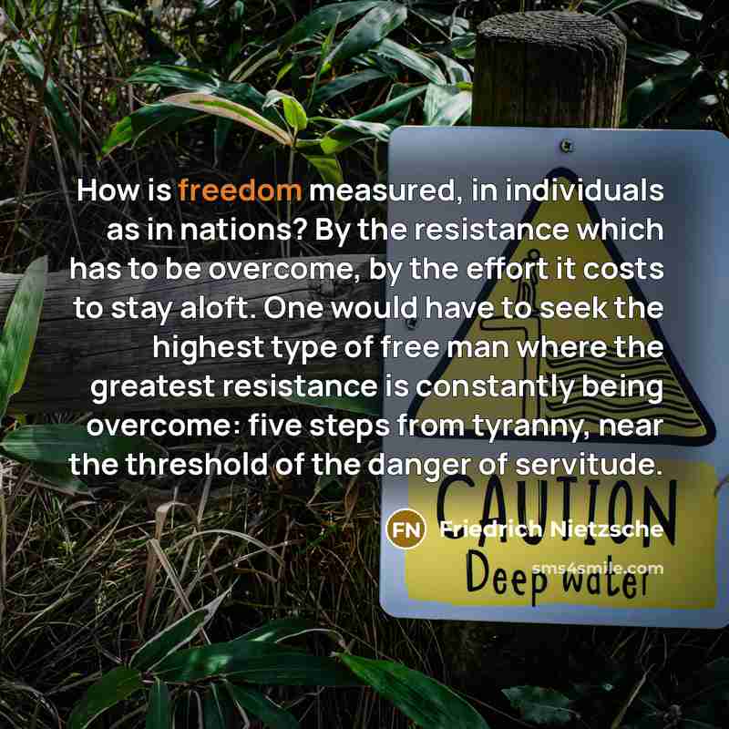“How is freedom measured, in individuals as in nations? By…” quote by Friedrich Nietzsche