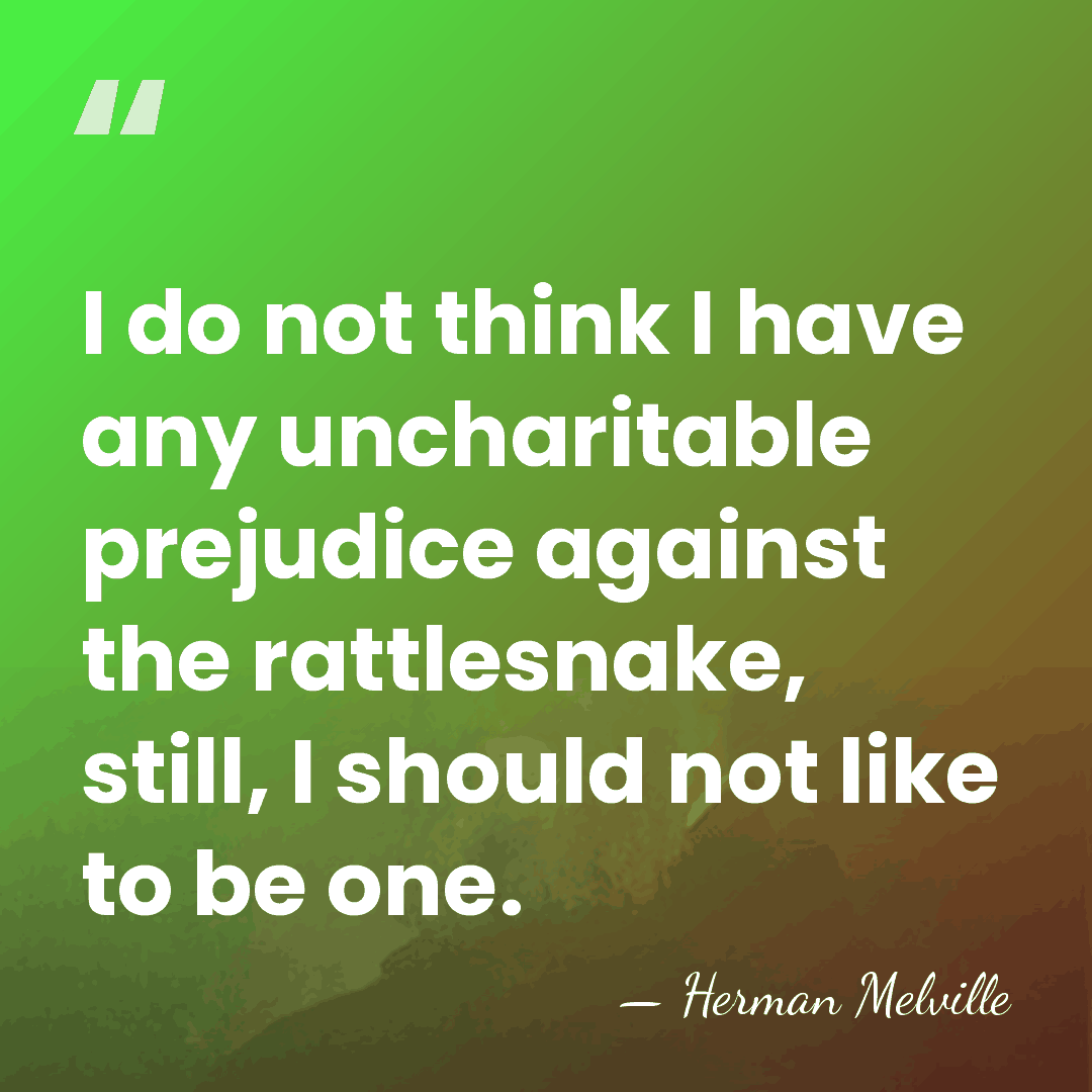 I do not think I have any uncharitable prejudice against the rattlesnake,&hellip; - Herman Melville